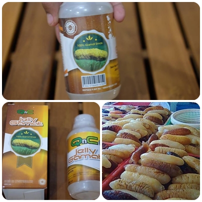 Obat Maag Kronis