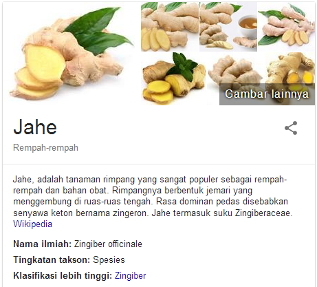 Manfaat Jahe Untuk Penderita Maag