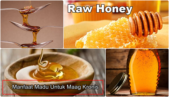 Manfaat Madu Untuk Maag
