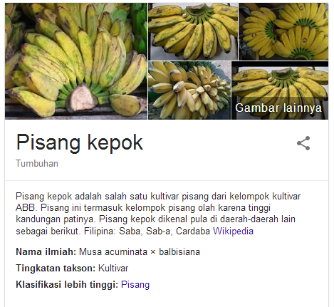 Manfaat Pisang Kepok Untuk Penyakit Maag