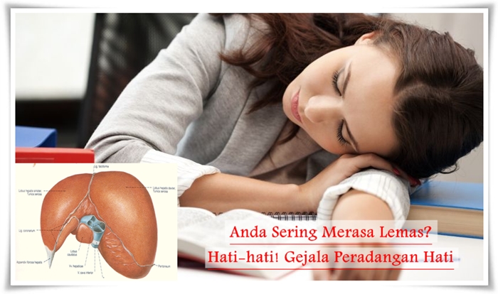 Obat Alternatif Peradangan Hati Terbaik 100% Alami Manjur